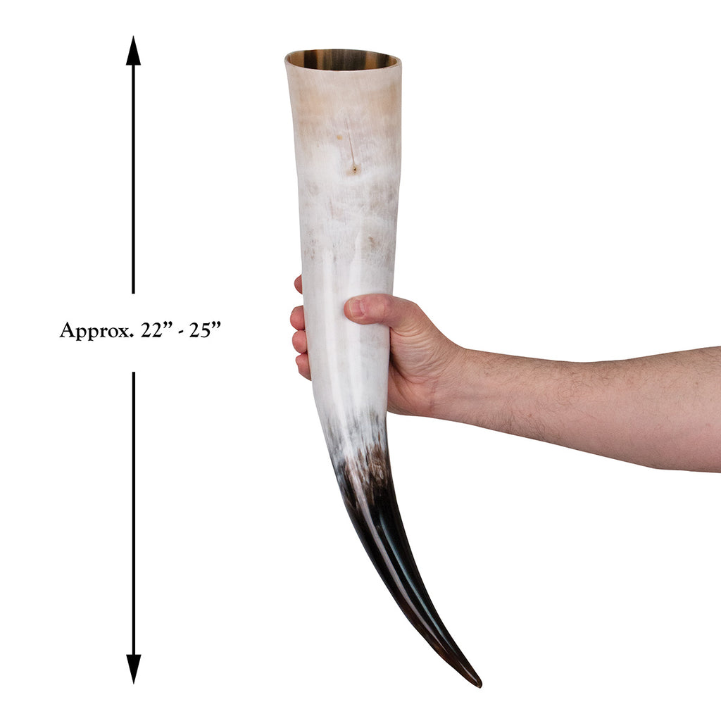 Thor's Extra Long Viking Drinking Horn Size Comparison